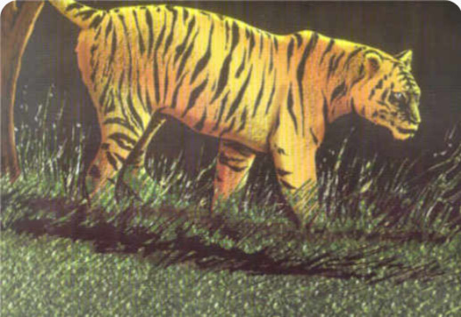 Ringu - del 4 Vorschau